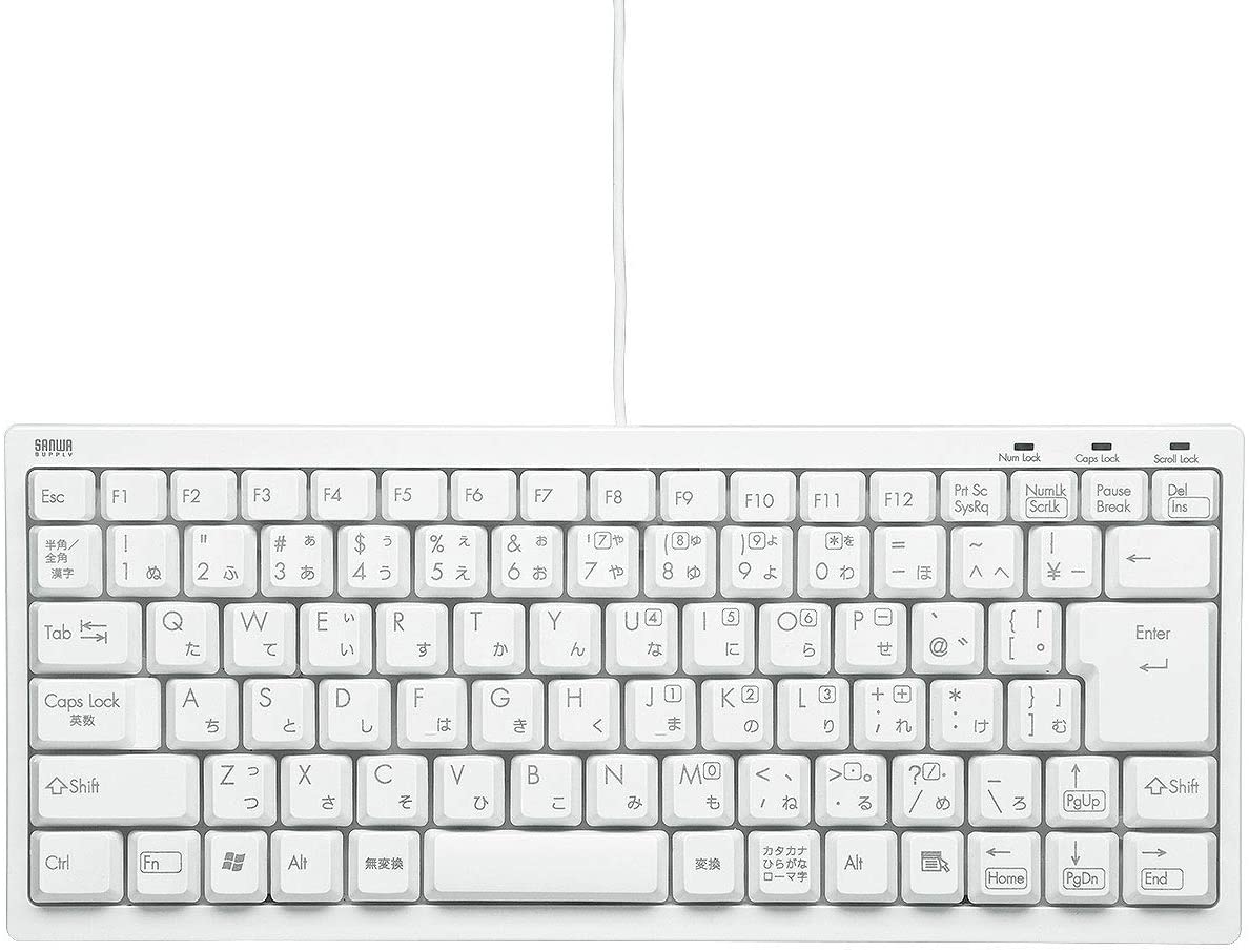 サンワサプライ 有線コンパクトキーボード テンキーなし USB接続 日本語86キー メンブレン USB-PS/2変換アダプタ付き ホワイト SKB-KG3WN2