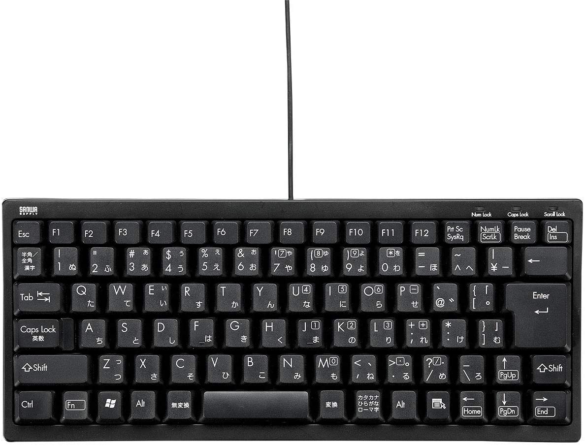 サンワサプライ 有線コンパクトキーボード テンキーなし USB接続 日本語86キー メンブレン USB-PS/2変換アダプタ付き ブラック SKB-KG3BKN2